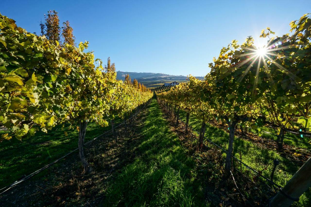 The Vineyards Lodge Chelan Exteriör bild